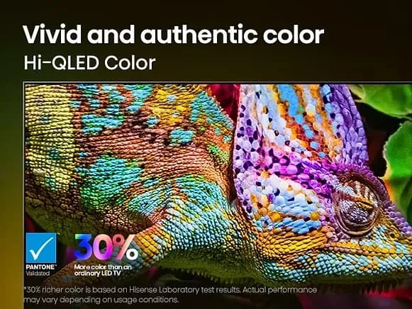 Vivid and authentic color